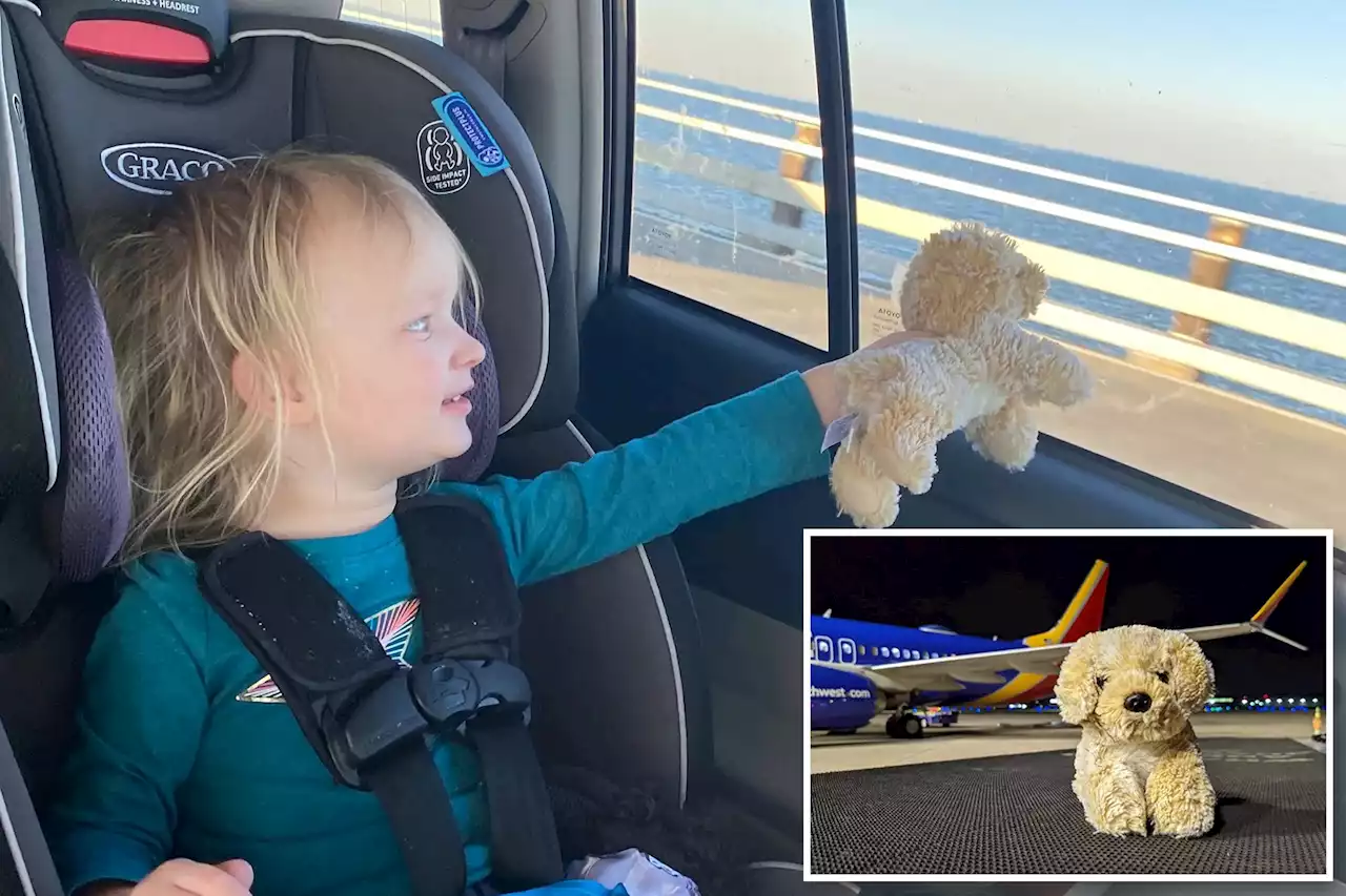 Southwest Airlines slammed for feel-good dog video: ‘Y’all on damage control’