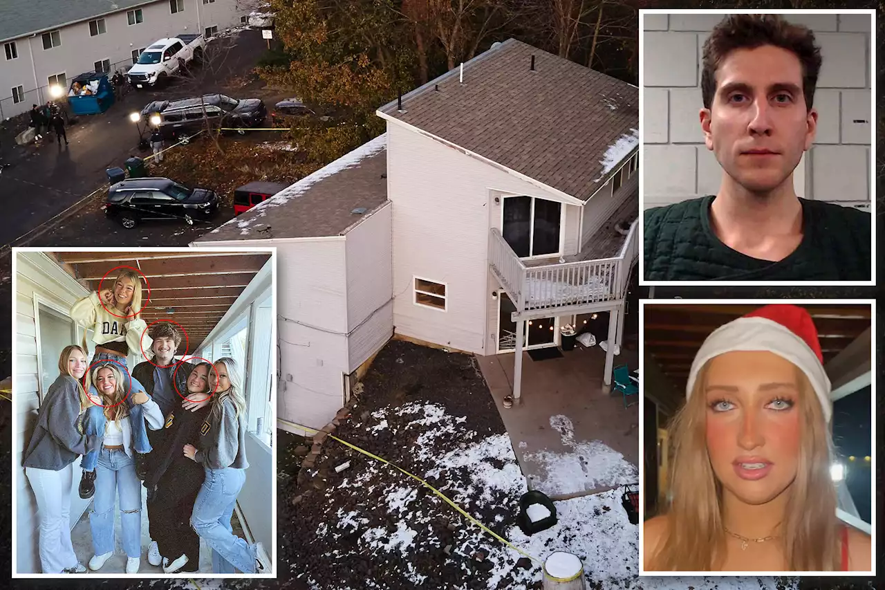 Surviving roommate thought noise from Idaho killings was partying: report