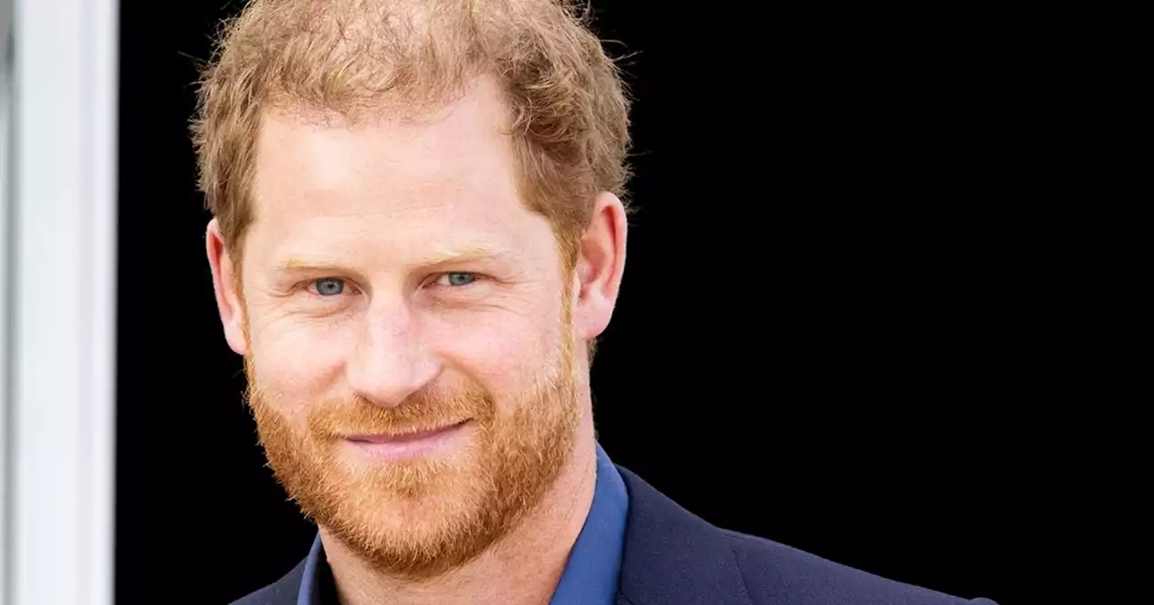 Owners of field where Prince Harry lost virginity 'could put a blue plaque up'