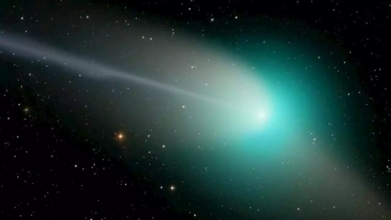 Cometa verde: hasta cuándo se lo podrá observar en Buenos Aires | El espectáculo astronómico que ocurre cada 50.000 años