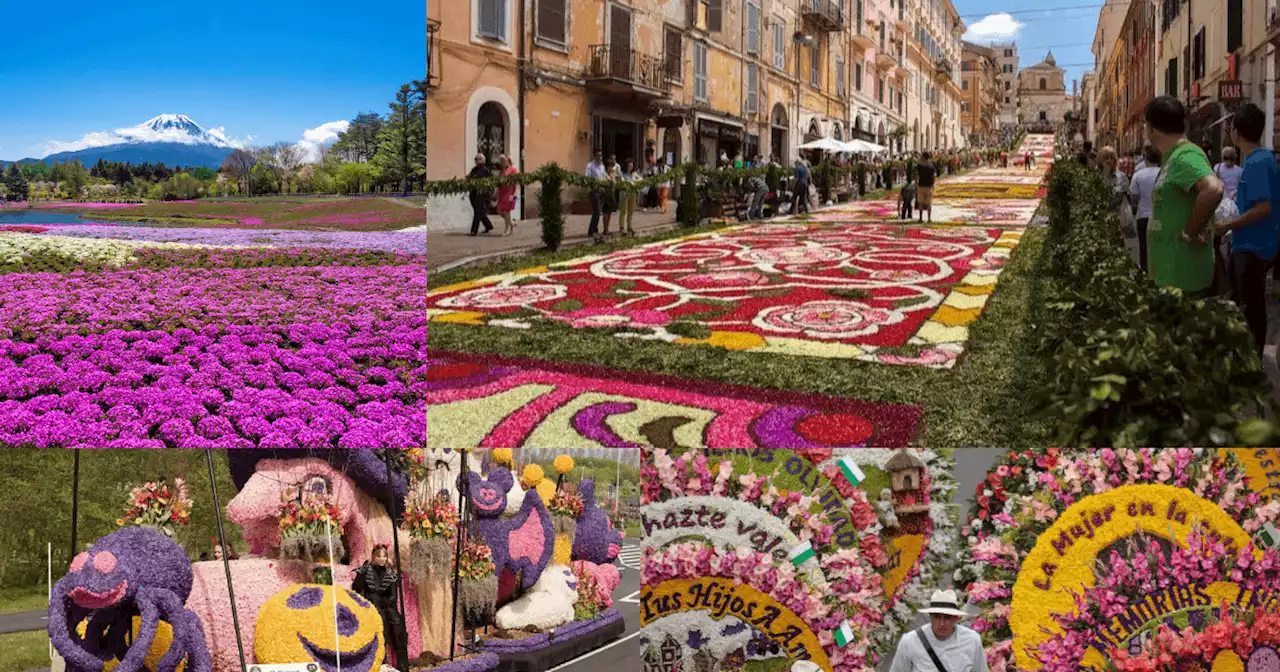 7 flower festivals around the globe to add to your bucket list