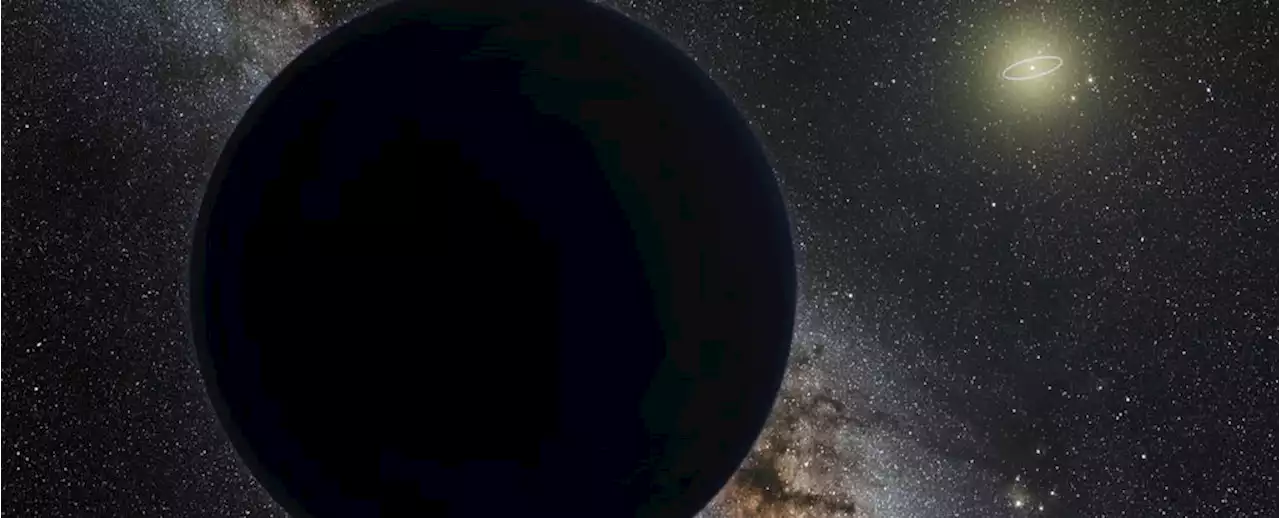 But Wait: What if The Hypothetical Planet Nine Has Moons?