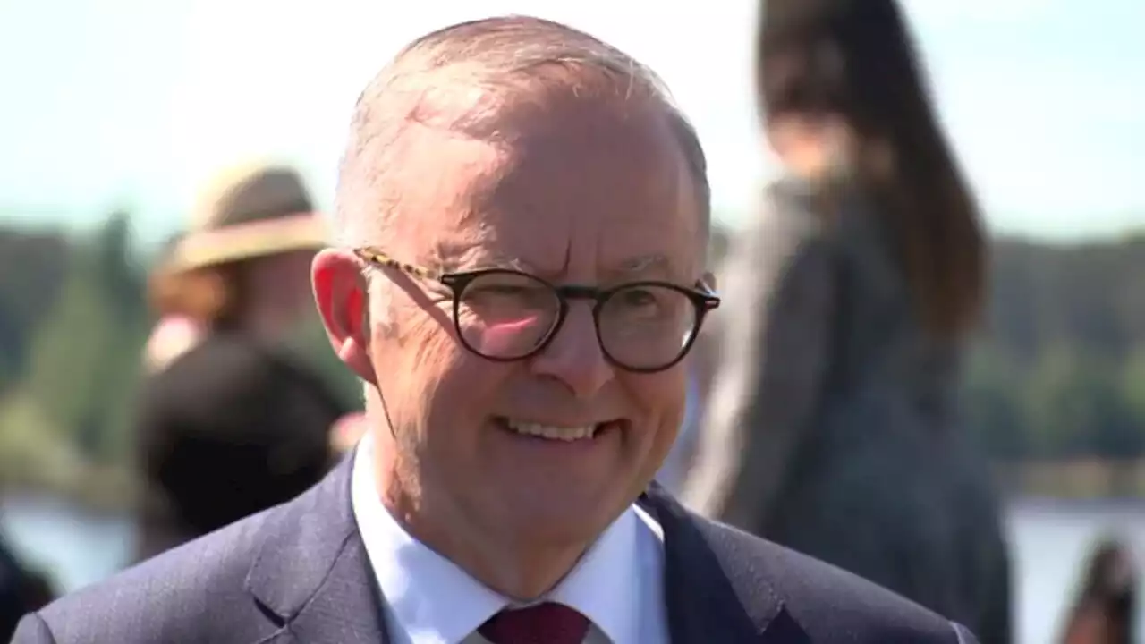 Albanese to be first PM to march in Mardi Gras is &#8216;wonderful&#8217;