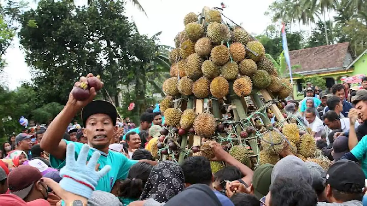 Meriahnya Festival Durian Sumberasri di Blitar