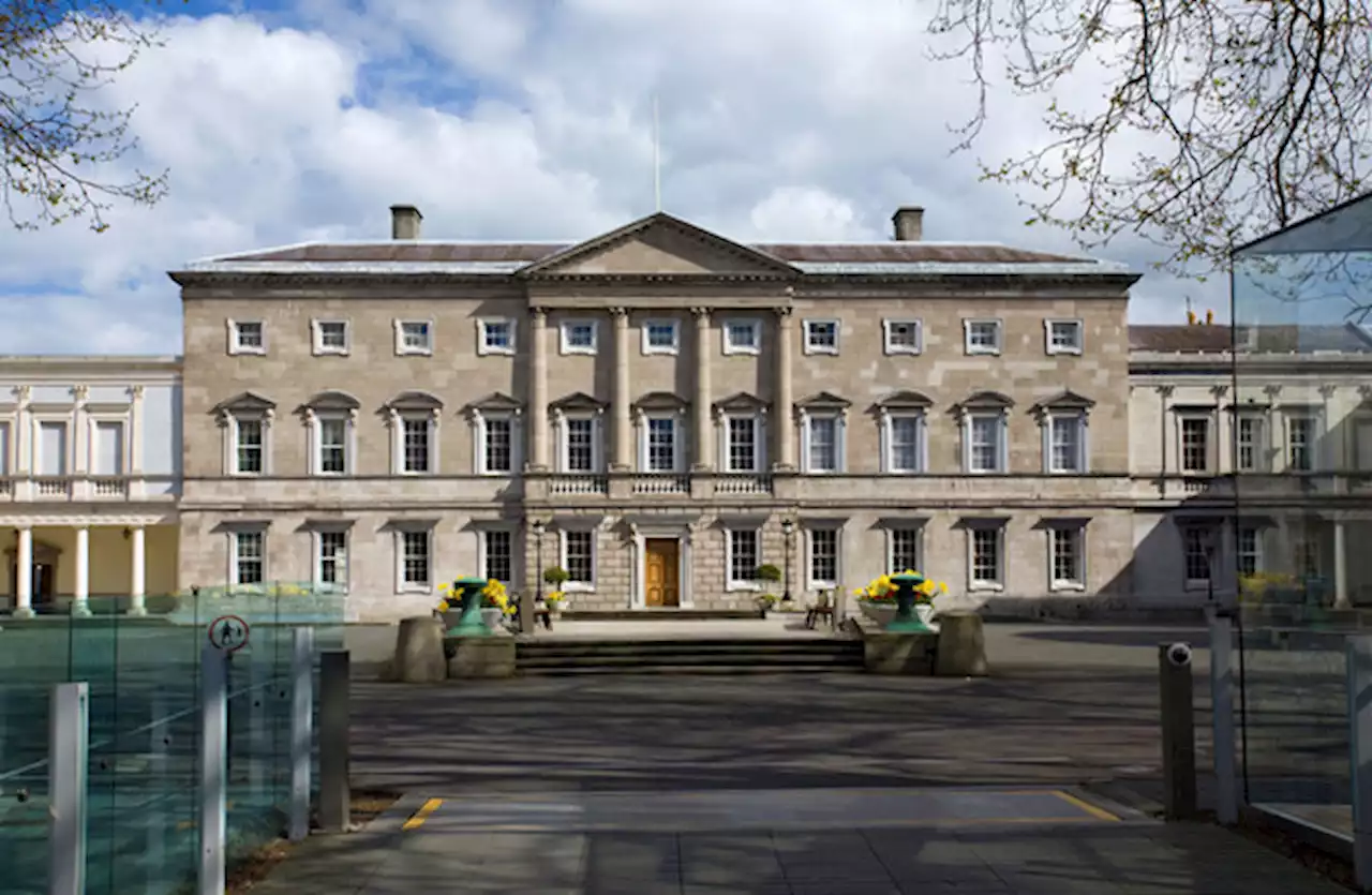 Concerns raised by human rights group over use of Chinese cameras in Leinster House