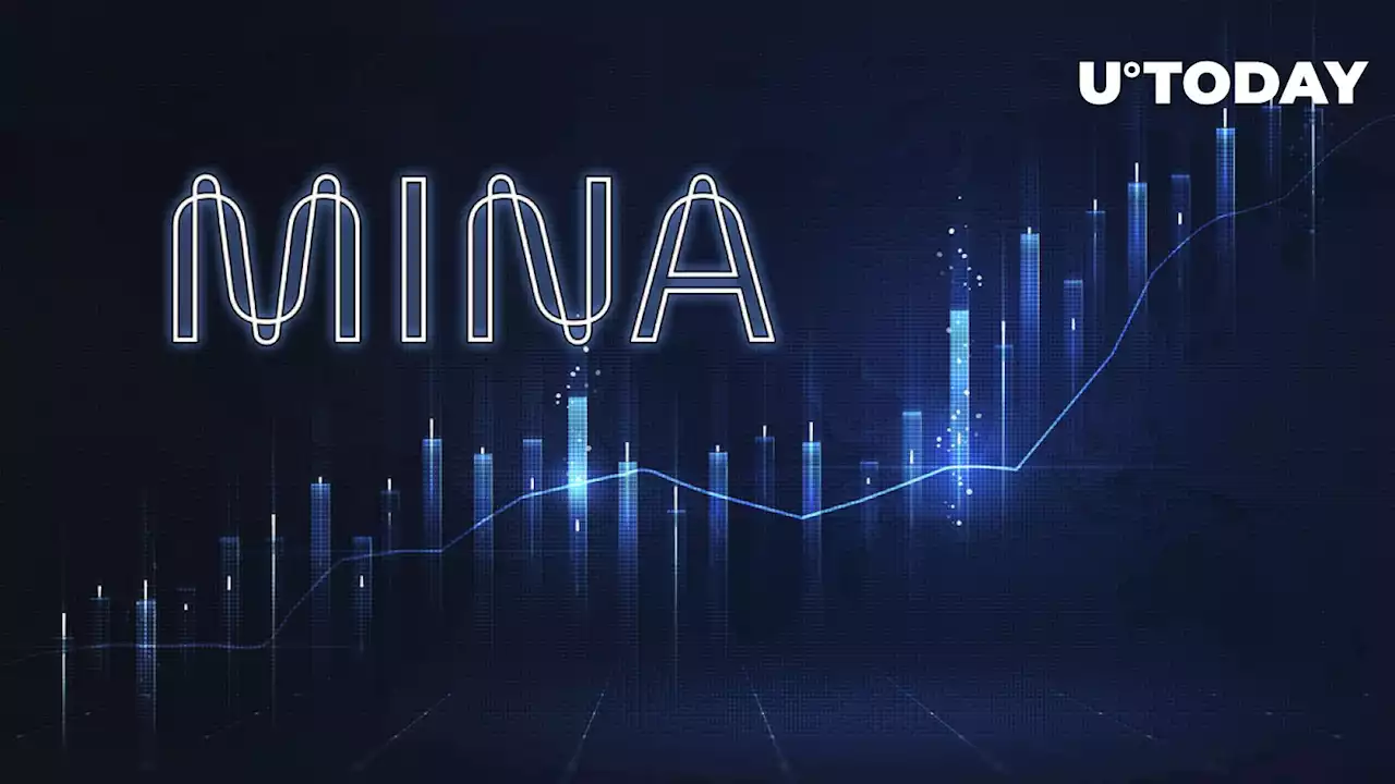 Mina Protocol (MINA) Up 46% on ZK Hype, Here's What Everyone Is Waiting For