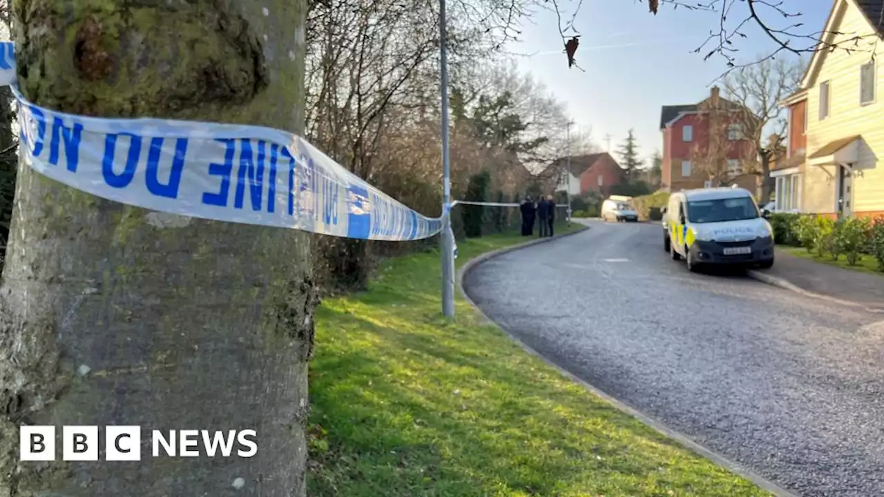 Chelmsford murder probe after boy, 16, dies