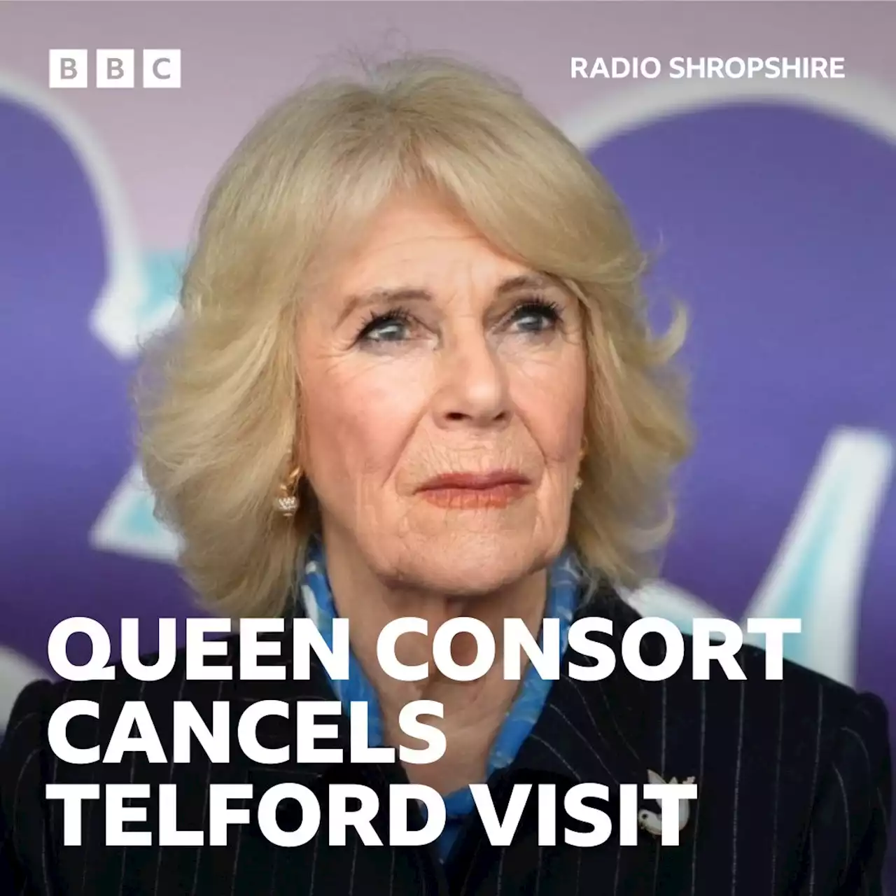 Camilla postpones West Midlands events over Covid