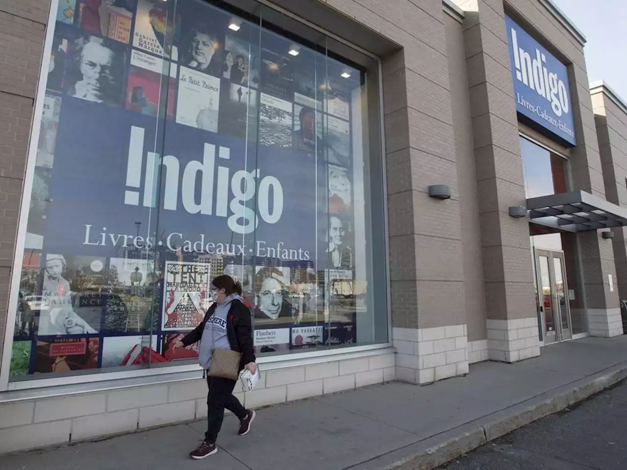 Indigo website outage stretches into fifth day but payment system back up