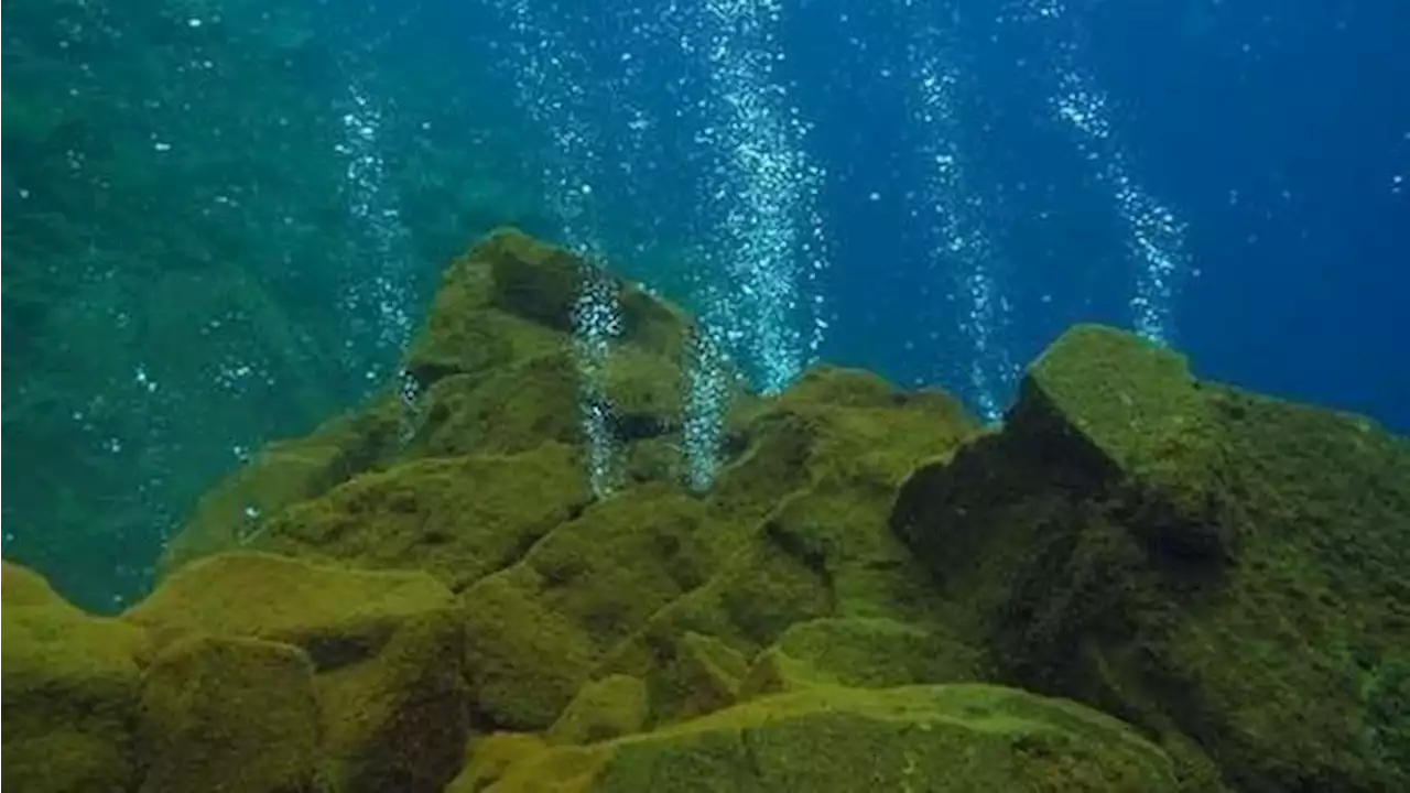 Terungkap Ada Gunung Bawah Laut di Pacitan Jawa Timur