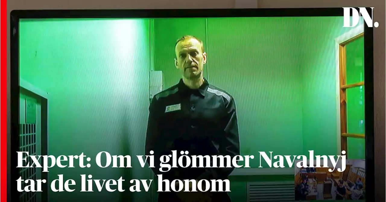 Expert: Om vi glömmer Navalnyj tar de livet av honom