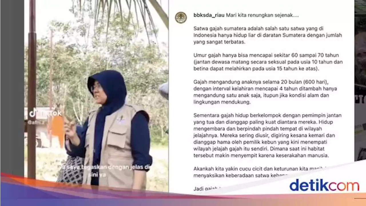 Ibu-ibu Penyuluh Terpaksa Marah-marah ke Petani karena Ancam Bunuh Gajah