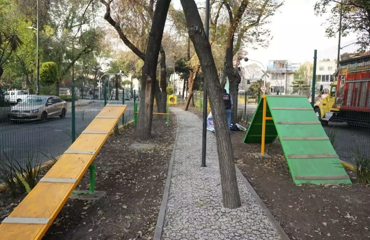 Alcaldía Miguel Hidalgo recupera camellón y lo transforma en parque Pet Friendly