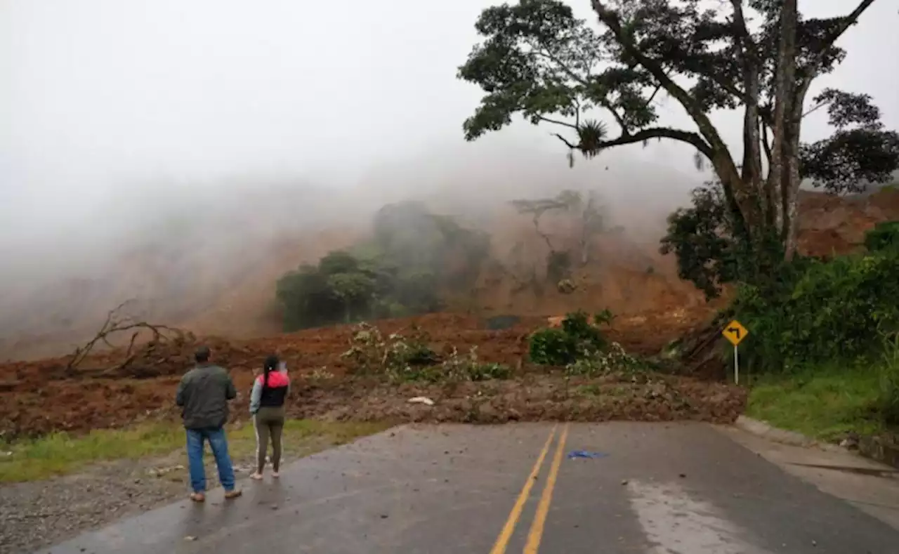 El 20 de febrero habilitarán la variante alterna en Rosas, Cauca