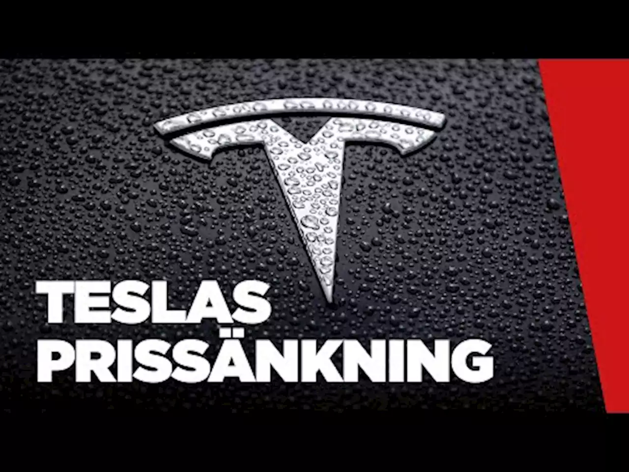 Hur påverkar Teslas prissänkningar bilindustrin? Ett gäng experter tycker till.