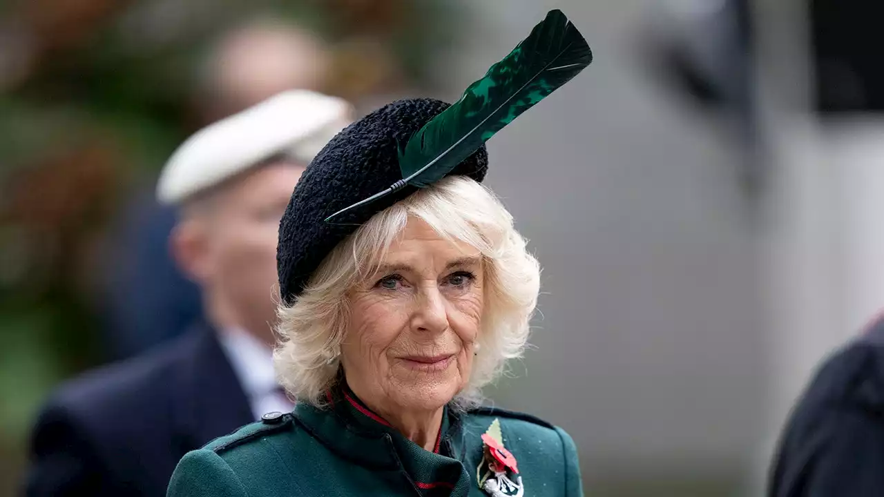 King Charles III's wife Camilla, Queen Consort, tests positive for COVID