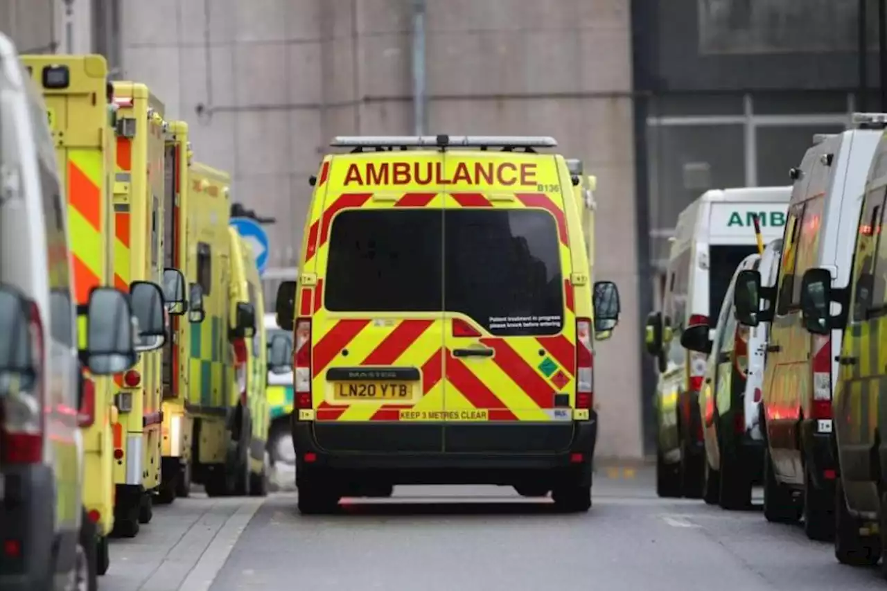 Two hospitalised after early morning 'disturbance' at Glasgow property