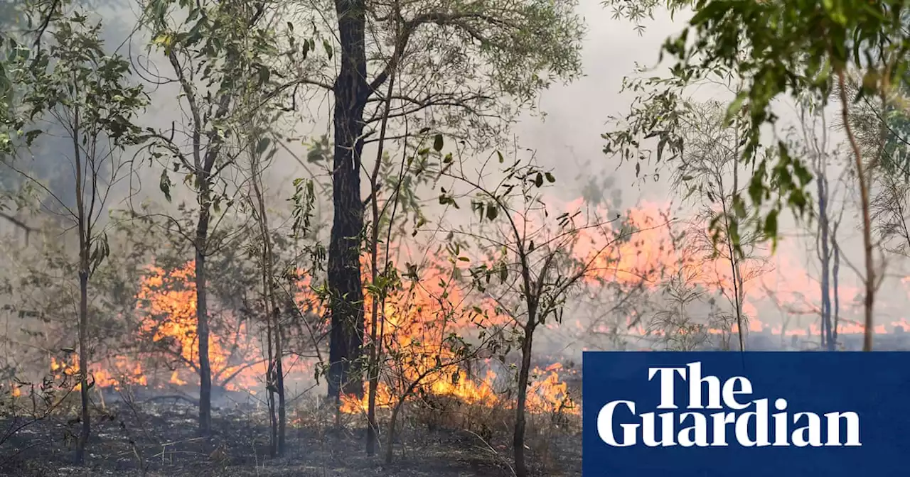 Emergency services expect ‘very difficult day’ as 50 bushfires burn across Queensland