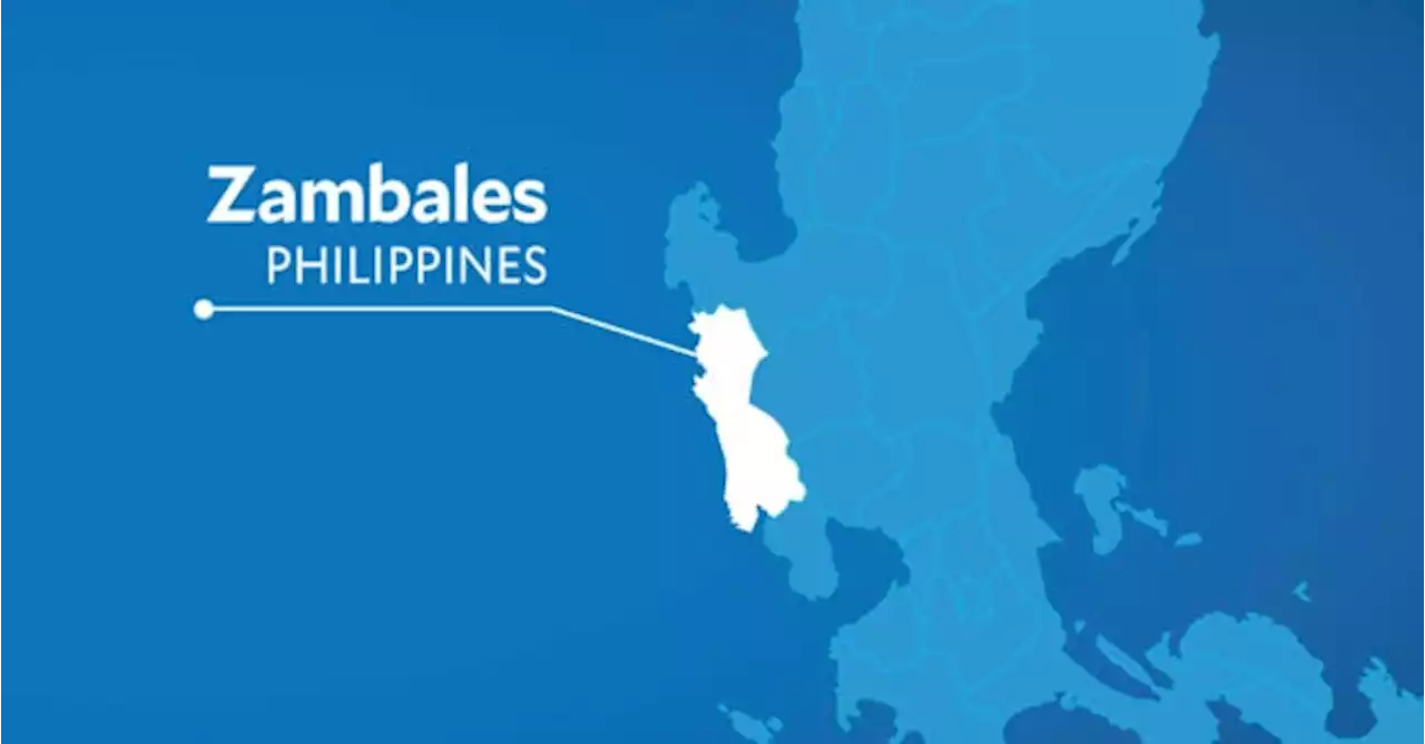 2 rebels surrender in Zambales, Bataan