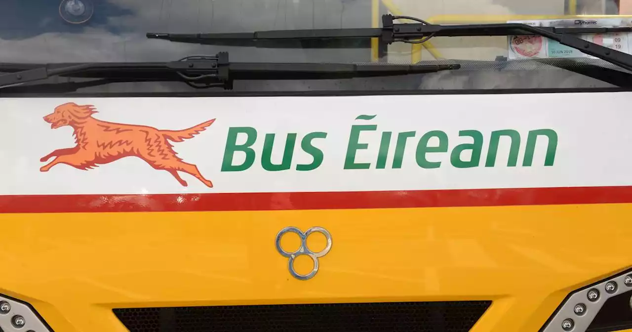 Ryanair says use of EU emissions funding for unprofitable school bus routes ‘a scandal’