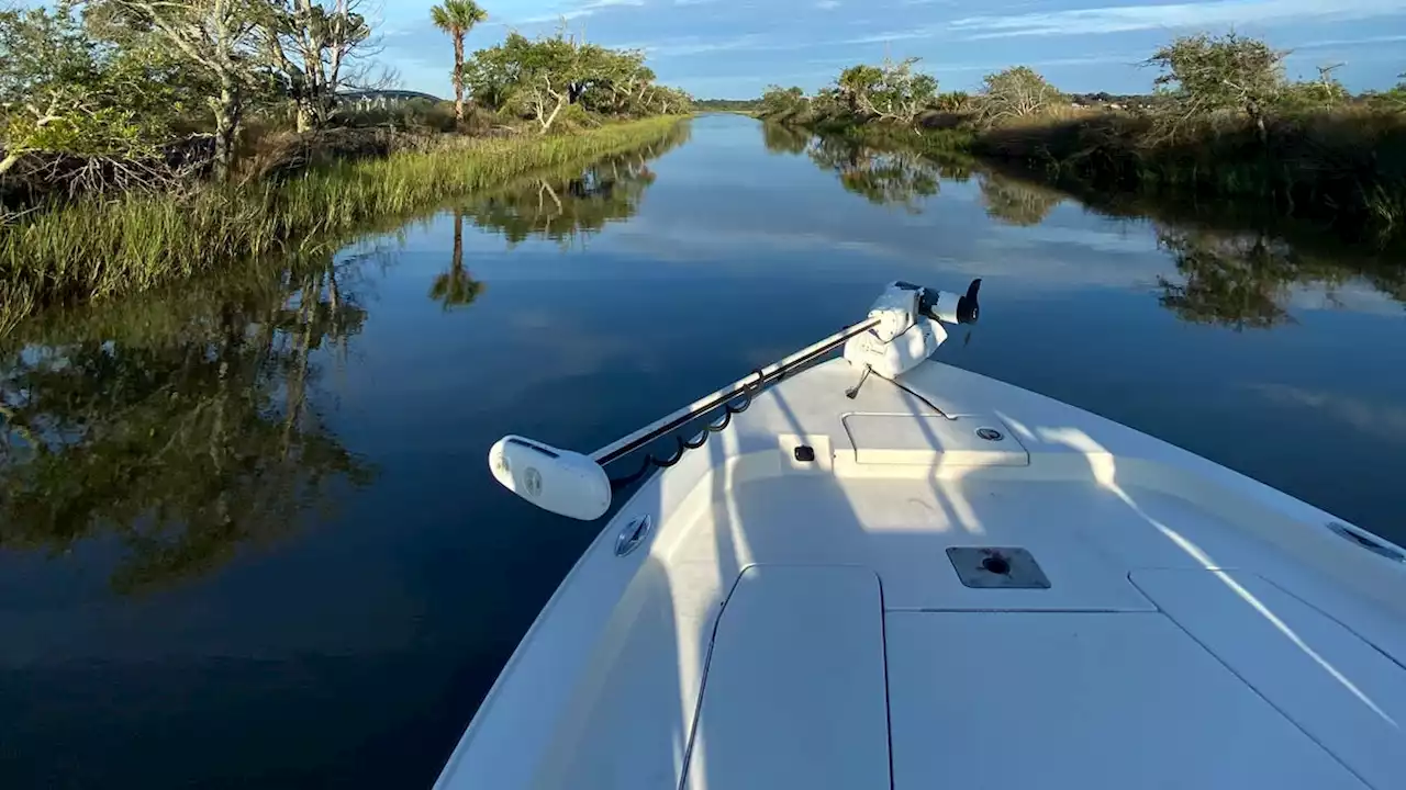 North Florida Land Trust conserves Intracoastal Waterway marsh by Atlantic Boulevard