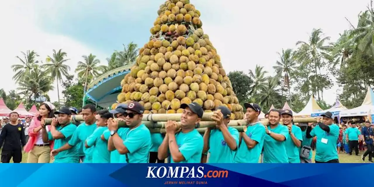 Khofifah Kenalkan Varian Durian Baru Asal Blitar, Durian Sumberasri