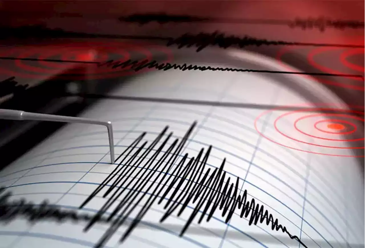 Temblor de magnitud de 6,1 sacudió el norte de Nueva Zelanda