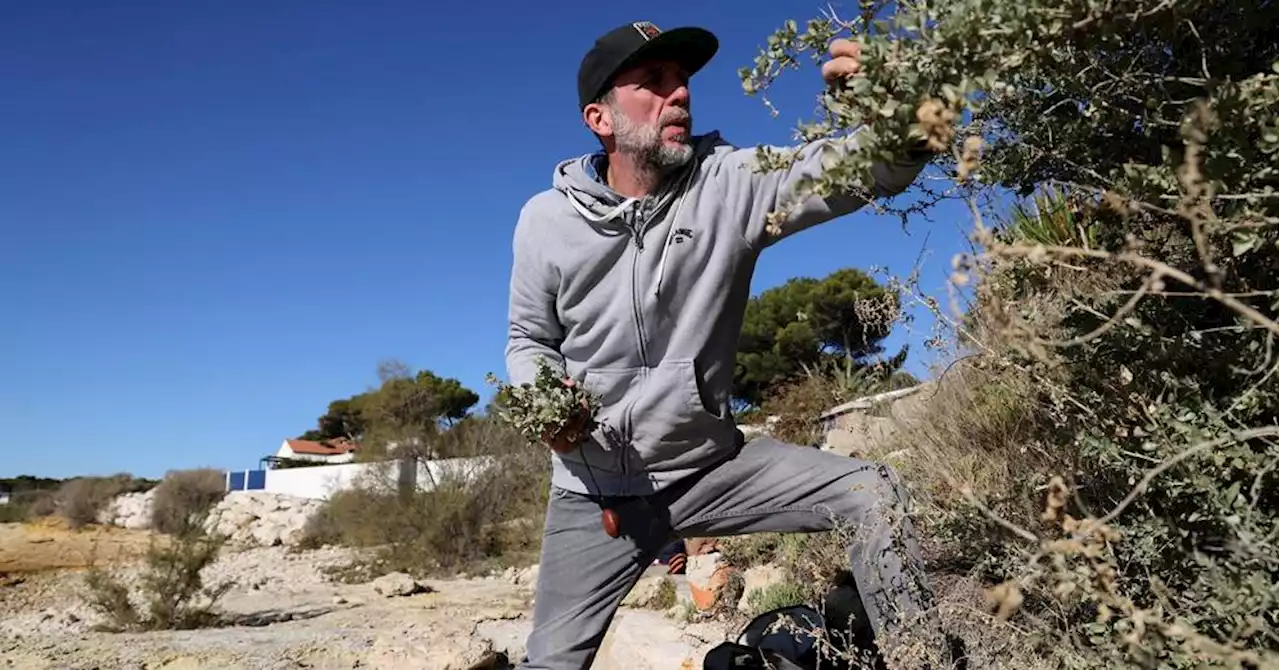 Marseille - Fabien Rugi : entre terre et mer, à la pêche aux plantes