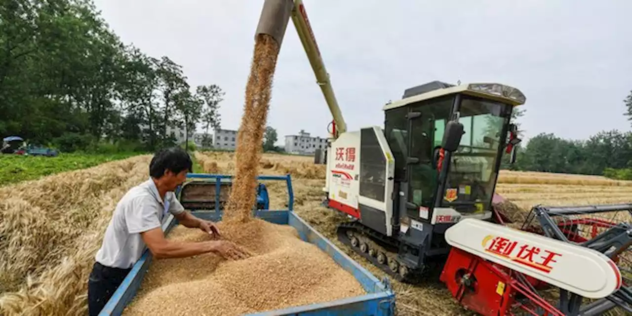 Pourquoi la Chine, plus que la guerre en Ukraine, menace la sécurité alimentaire mondiale