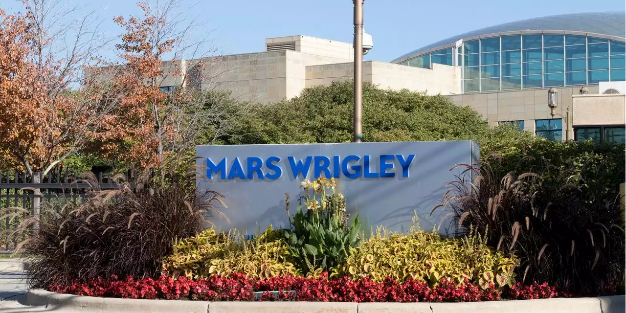 Mars Wrigley fined after workers fall into vat of chocolate