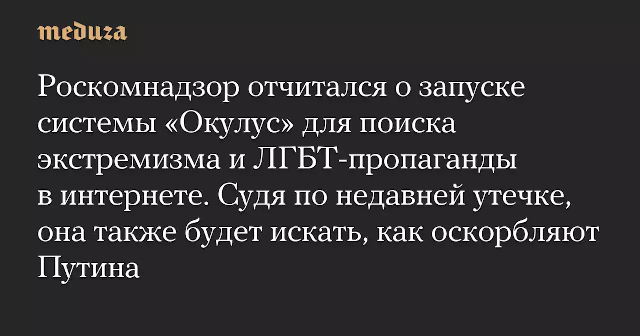 Роскомнадзор отчитался о запуске системы «Окулус» для поиска экстремизма и ЛГБТ-пропаганды в интернете. Судя по недавней утечке, она также будет искать, как оскорбляют Путина — Meduza