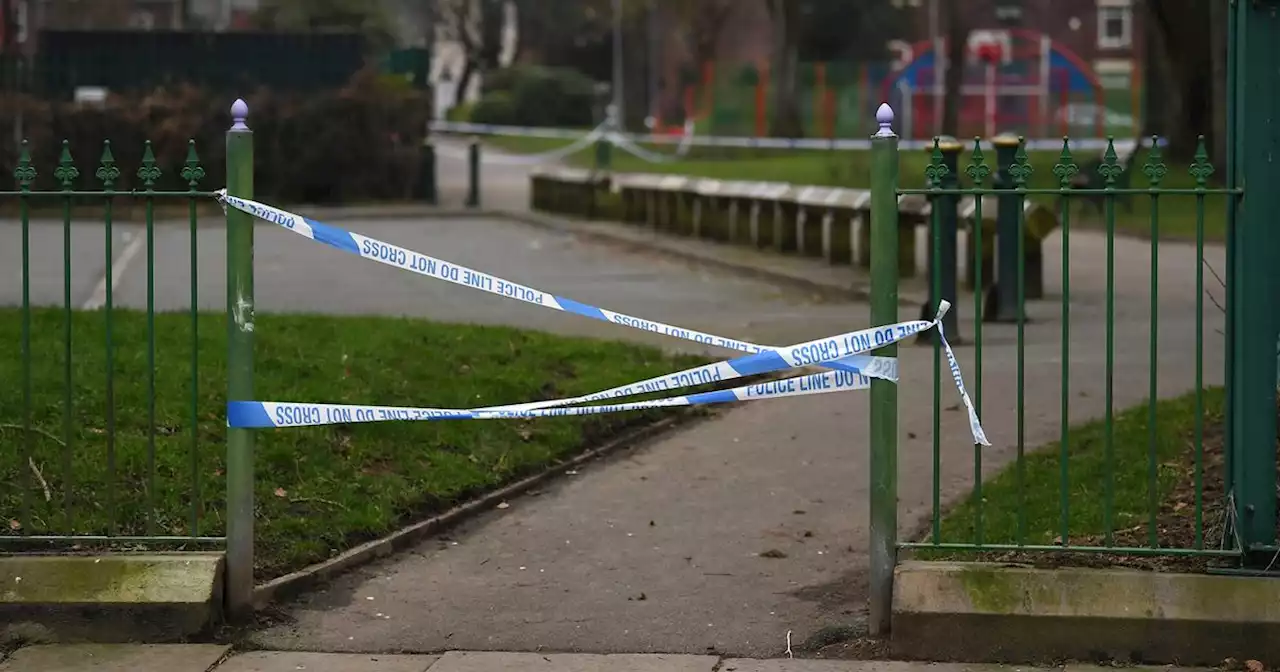 BREAKING: Teenager stabbed in the chest in park