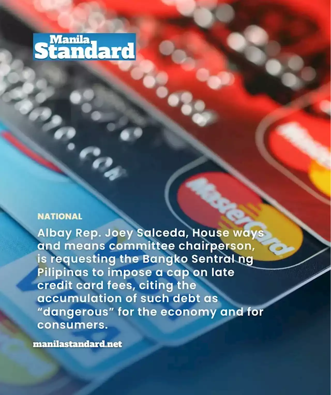 BSP urged to impose cap on late credit card fees