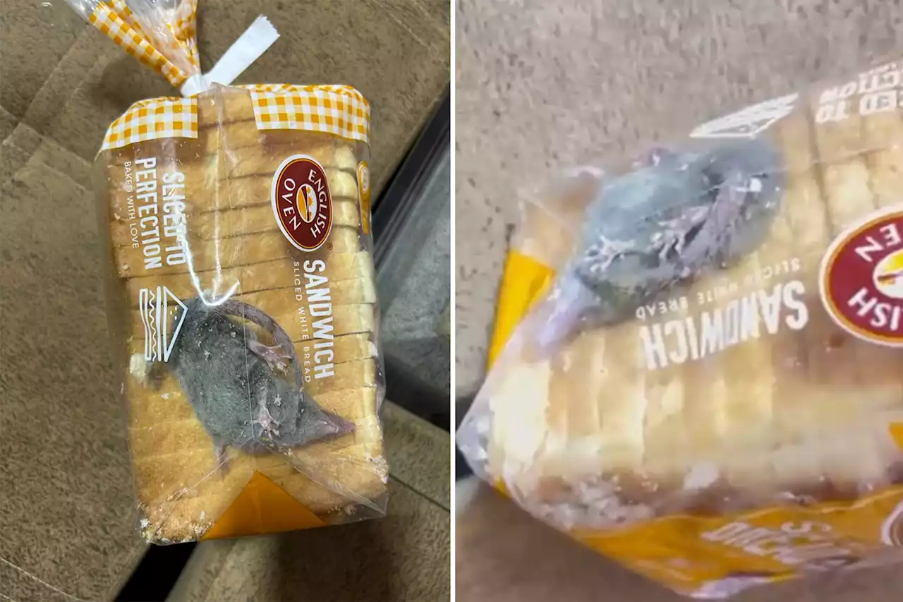 Customer finds live rat in bread delivery: ‘Most unpleasant experience’