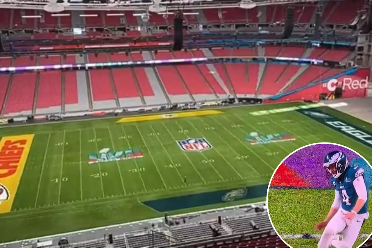 NFL roasted for having ‘absolute trash’ field during Super Bowl