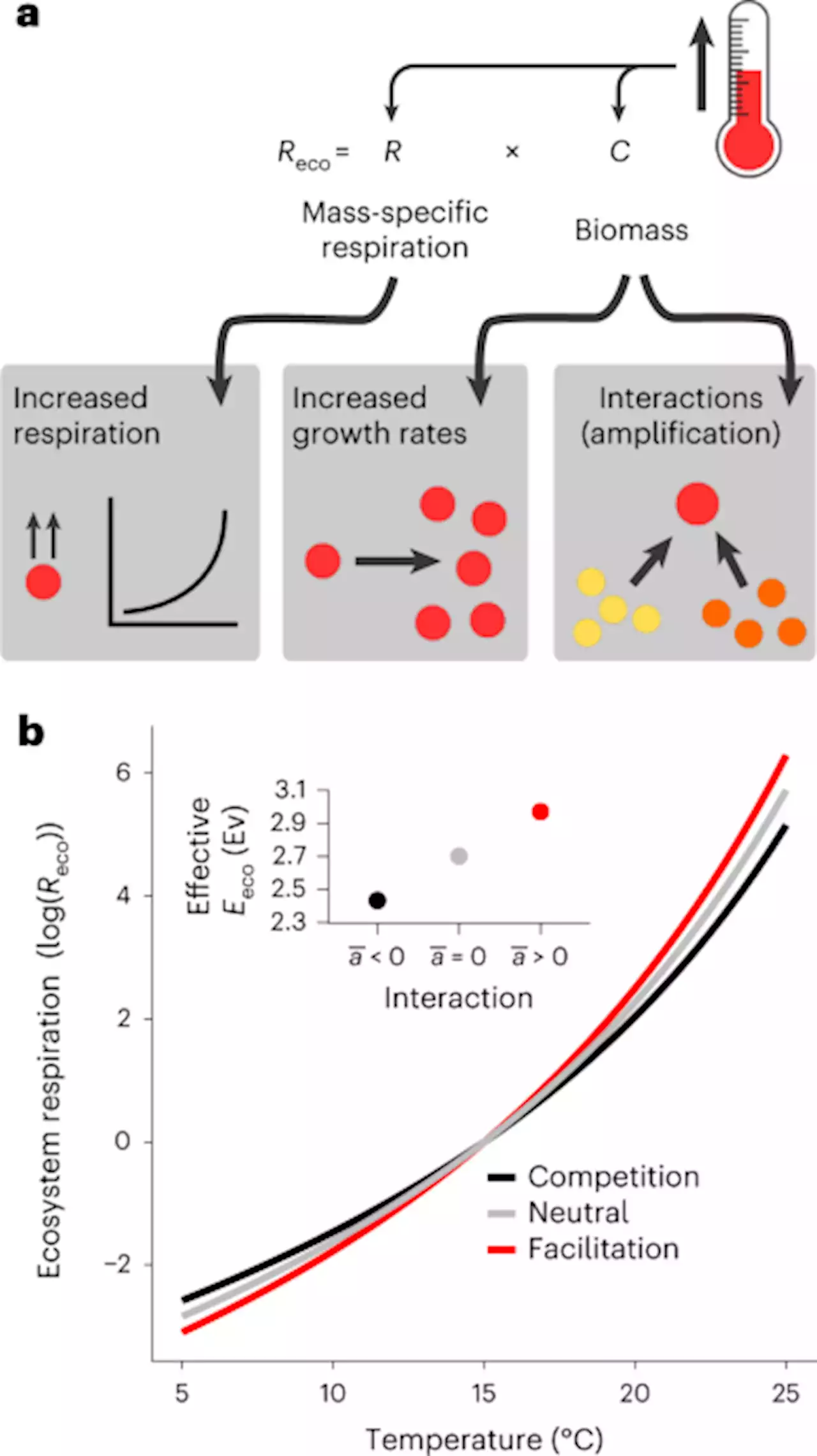 The temperature dependence of microbial community respiration is amplified by changes in species interactions - Nature Microbiology