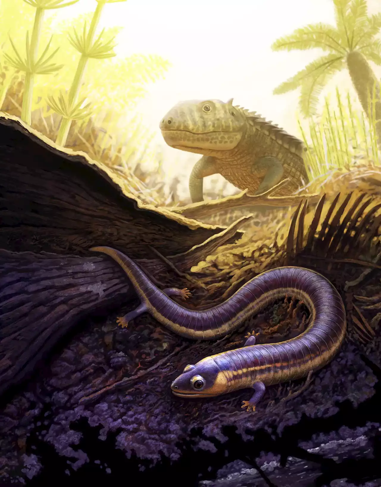 First “Unmistakable” Triassic-Era Caecilian Fossils Discovered, Revealing Origins of Living Amphibians