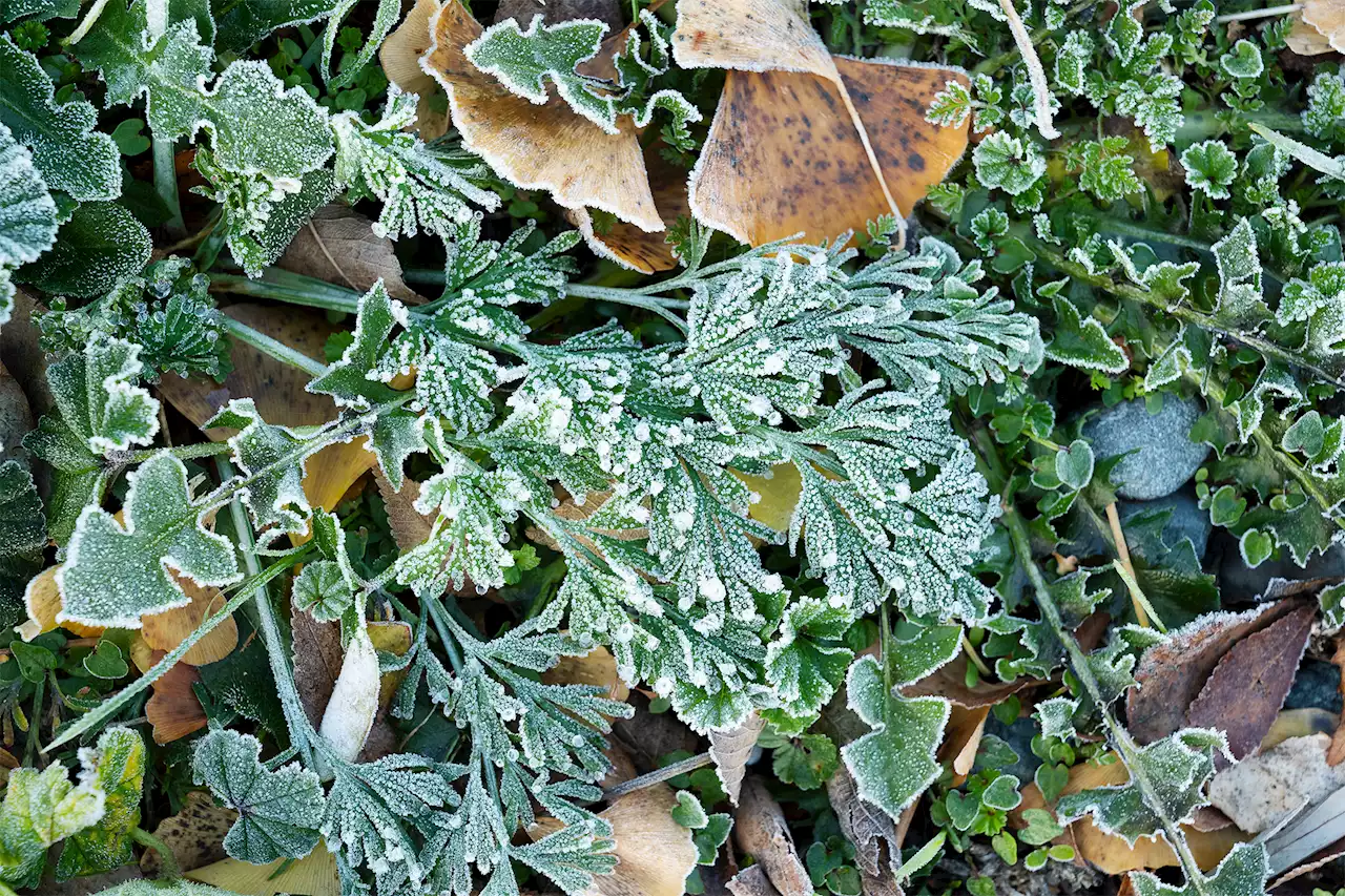 Blast of Arctic air to push down SF Bay Area temperatures