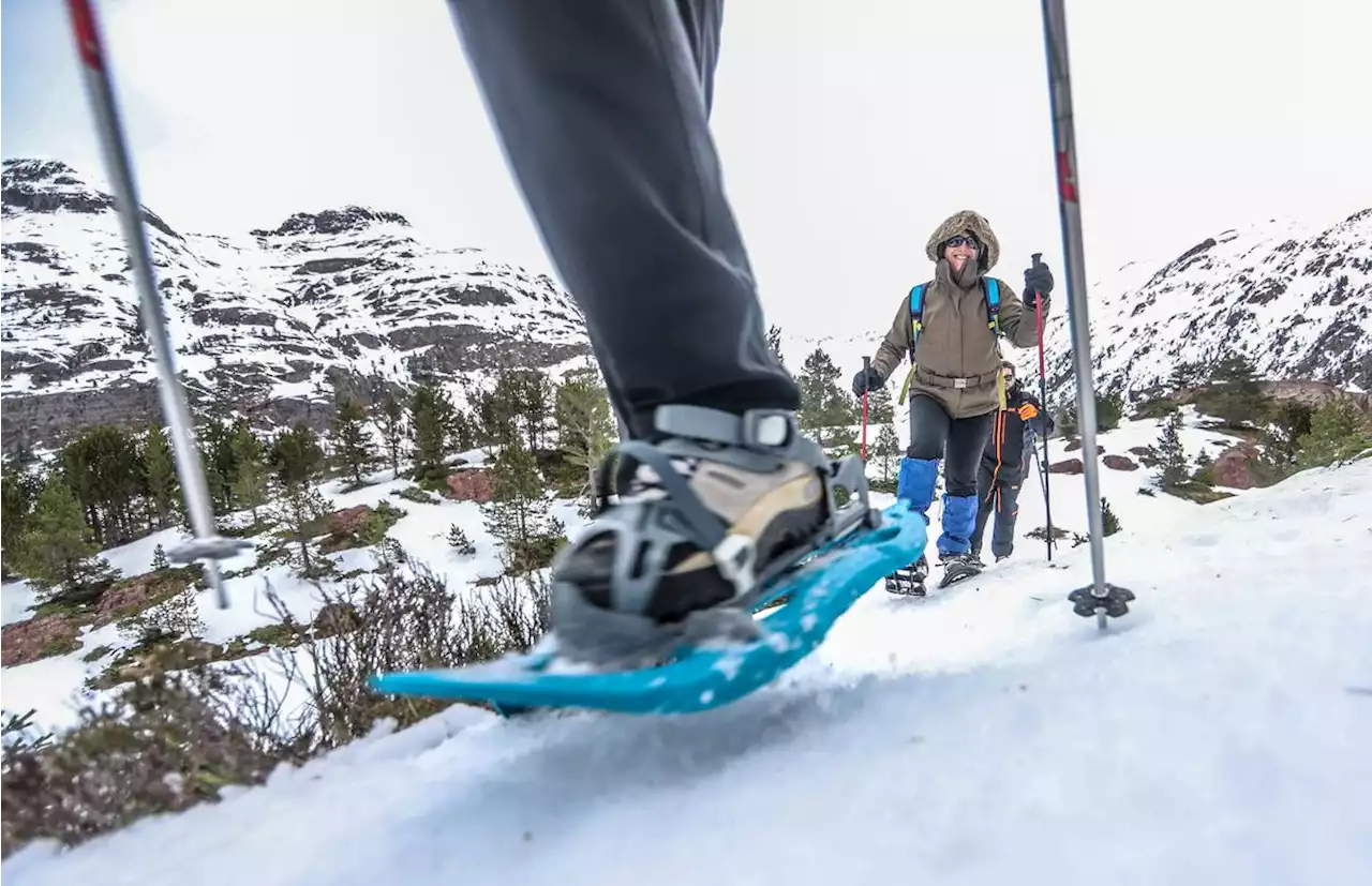 Raquettes à neige : suivez le guide au cœur des Pyrénées