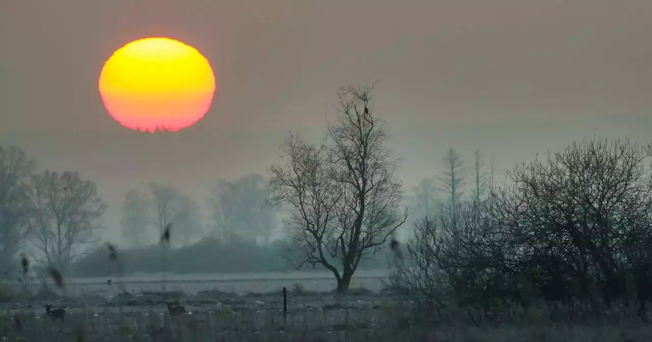 Wettervorhersage: Das sind die Aussichten fürs Saarland bis Weiberfastnacht – werden die Rathausstürme nass?