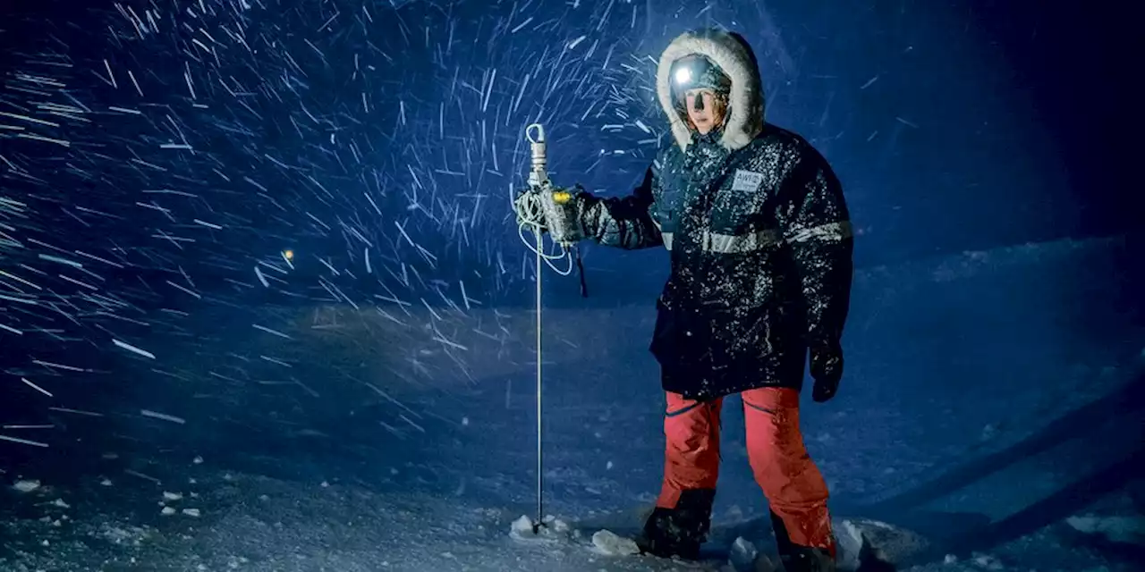 Foto-Ausstellung „Stars of Polar Night“: Frauen am Rand der Welt