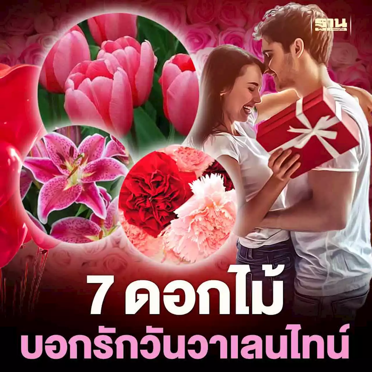 7 ดอกไม้ใช้บอกรักวันวาเลนไทน์ (ไม่ง้อกุหลาบแพง)