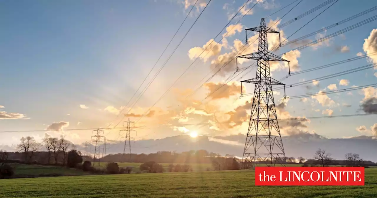 Councillor backs campaign against pylons which 'would devastate Lincolnshire landscape'