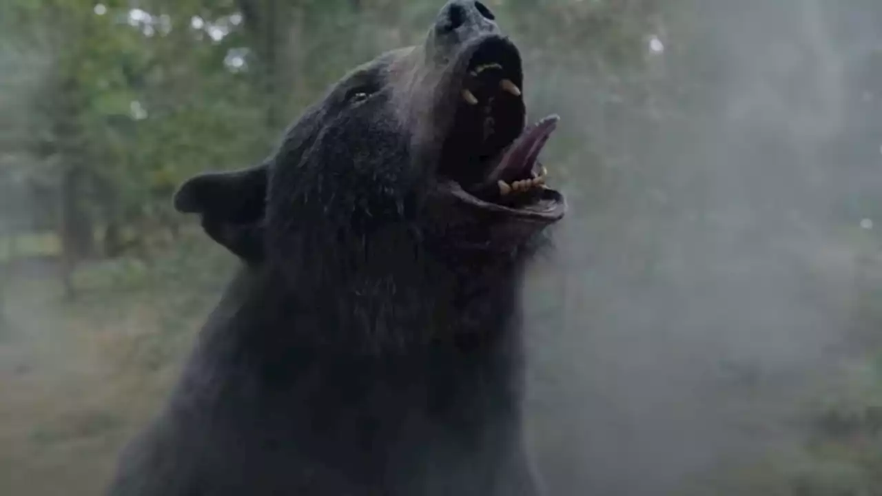 ‘Cocaine Bear’ Roars with Super Bowl Spot