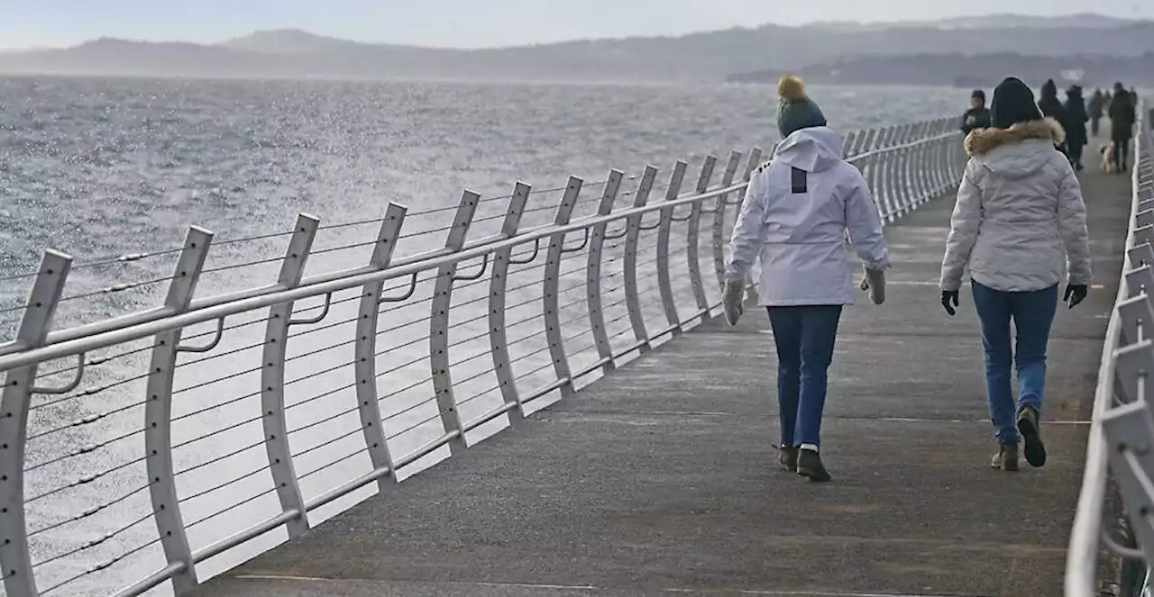 Weather warnings issued as strong winds expected to hit Vancouver Island