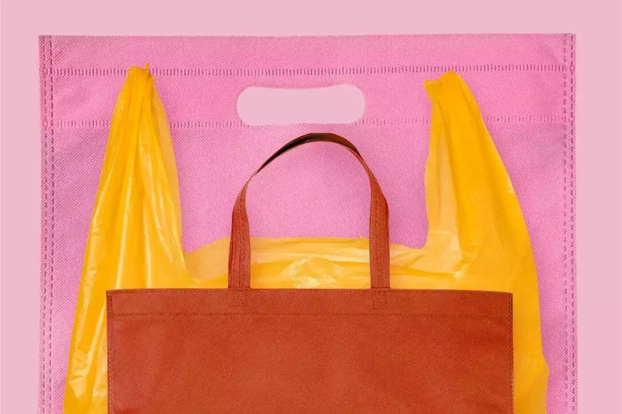 We break down your plastic-bag alternatives: The greenest option may surprise you