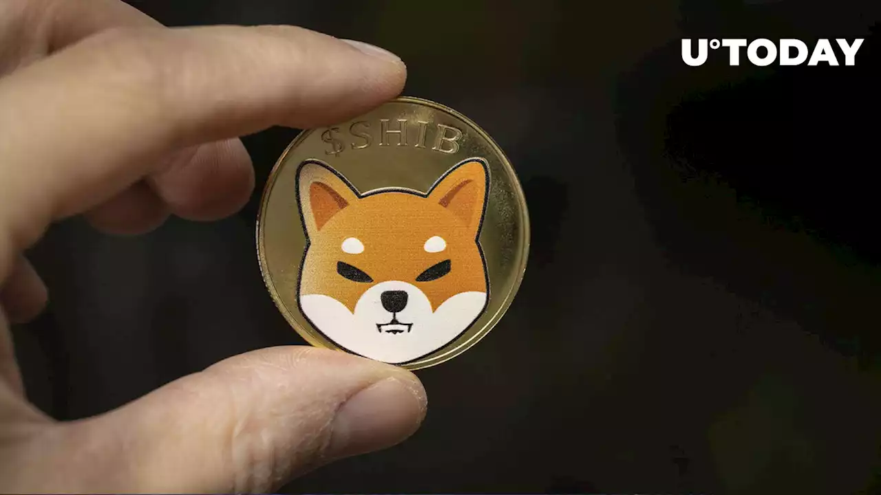 Shiba Inu (SHIB) Can Reach $1 Thanks to These Drivers, Bone ShibaSwap (BONE) Account Says