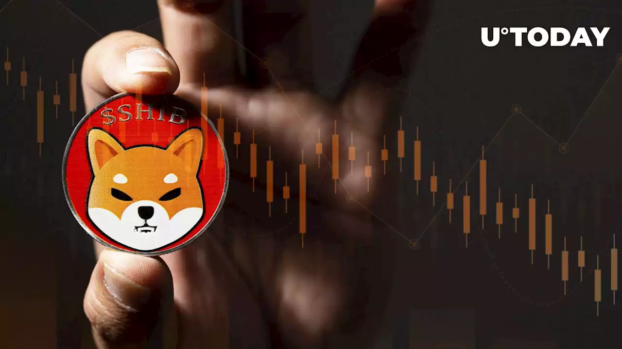 Shiba Inu (SHIB) Extremely Unprofitable, On-Chain Data Shows, Here's What It Means for Asset