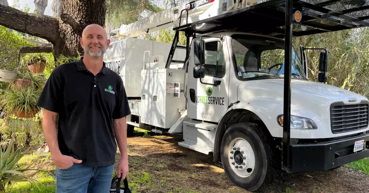 Arborists prepare for downed trees after wind advisory issued