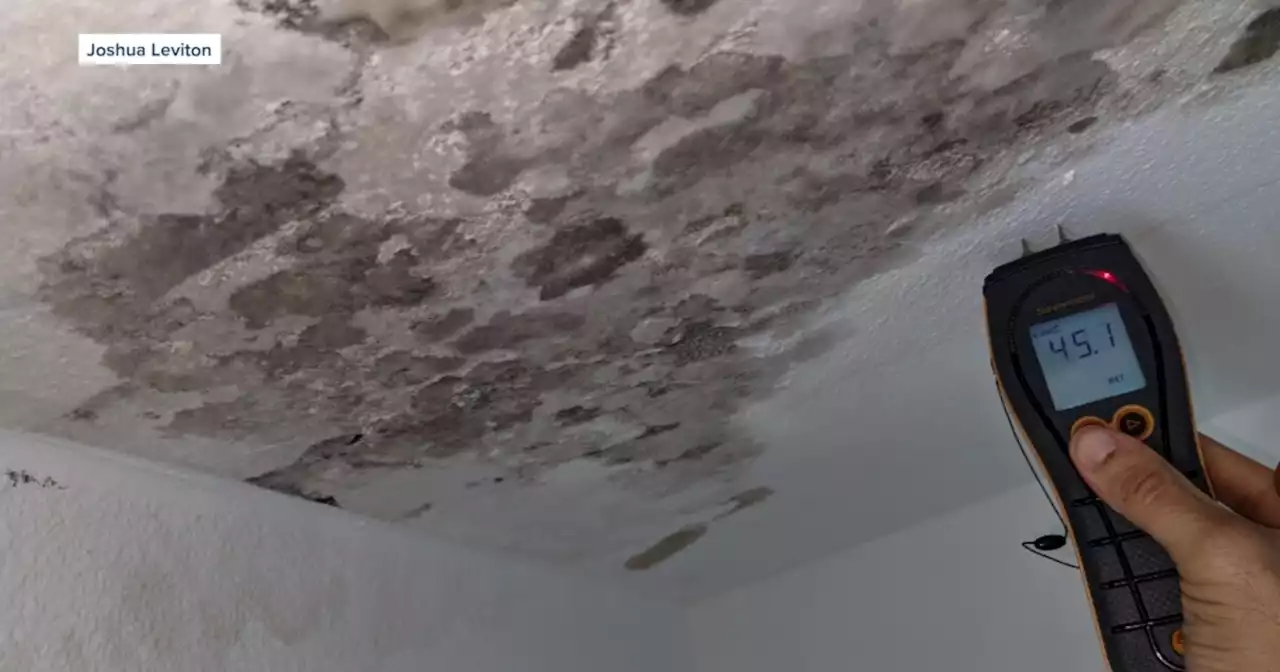 Inspector sees uptick in mold concerns across San Diego following recent rain